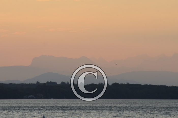 DJP_4547-Copier-