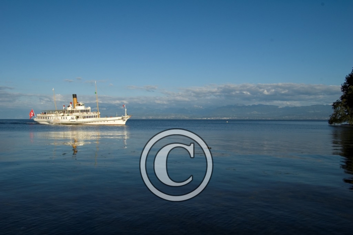 DSC_0031 light