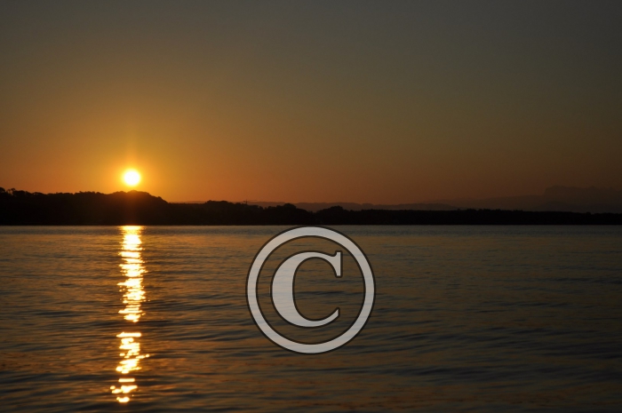 _DSC0016-Copier-
