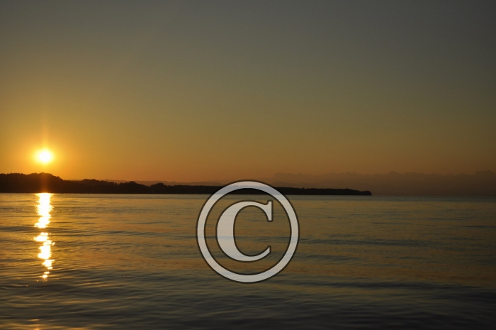 _DSC0025-Copier-