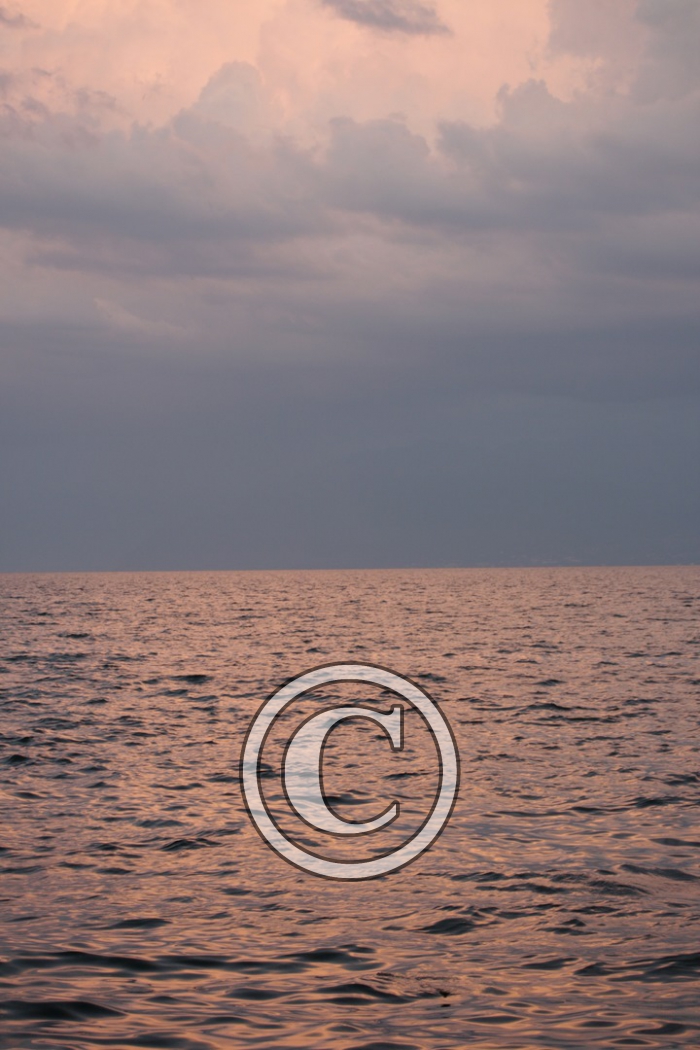 _MG_3527-Copier-