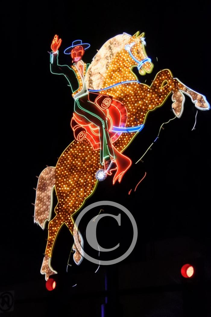 DSC_0516 light