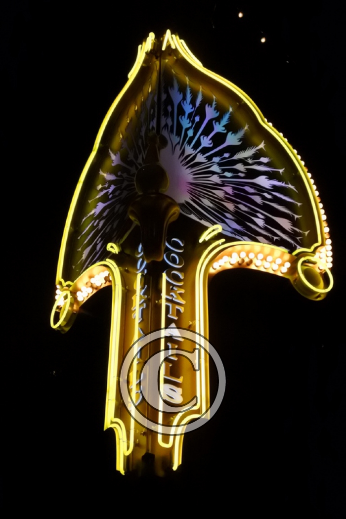 DSC_0528 light