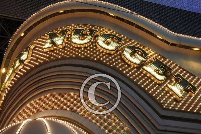 DSC_0610 light