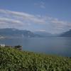 IMG_3605-Copier