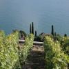 _MG_3608-Copier-