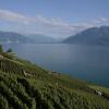 _MG_3620-Copier-