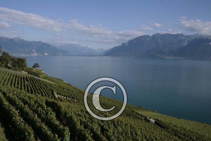 _MG_3620-Copier-