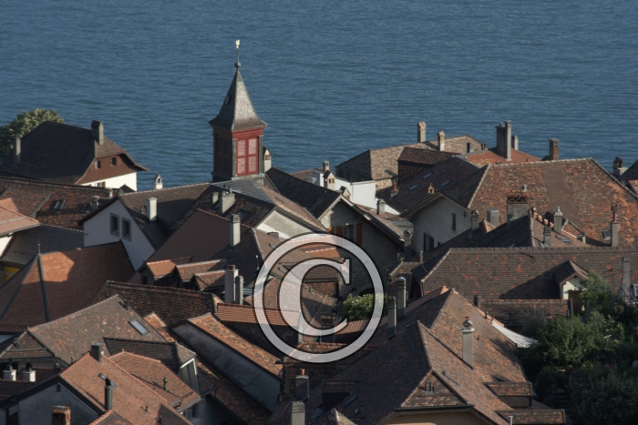 _MG_3634-Copier-