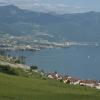 _MG_3640-Copier-