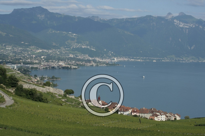 _MG_3640-Copier-
