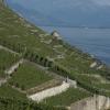 _MG_3641-Copier-