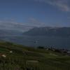 _MG_3645-Copier-