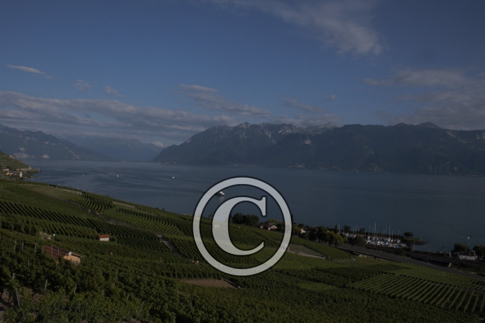 _MG_3645-Copier-