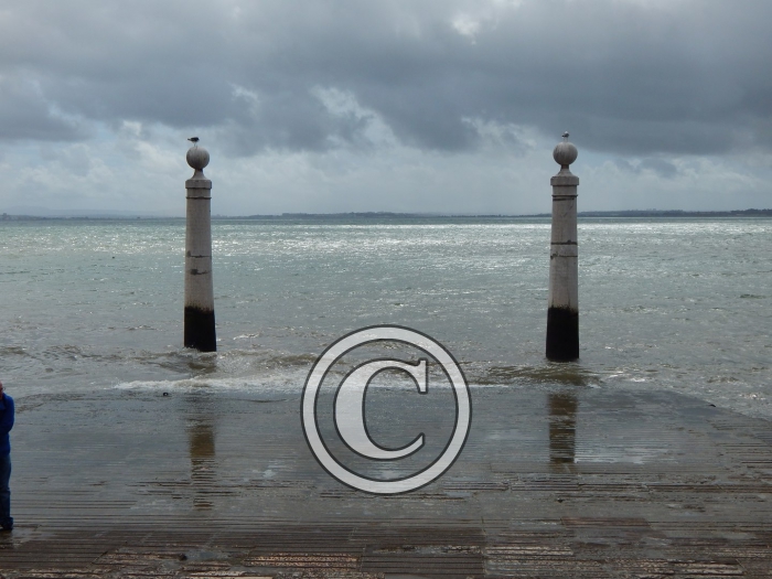 DSCN2561-Copier-