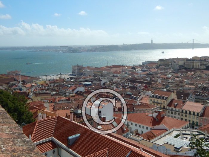 DSCN2648-Copier-
