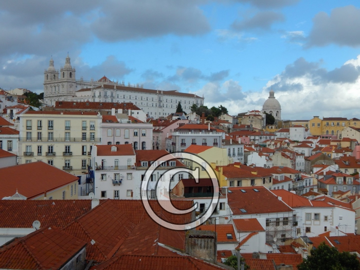 DSCN2749-Copier-