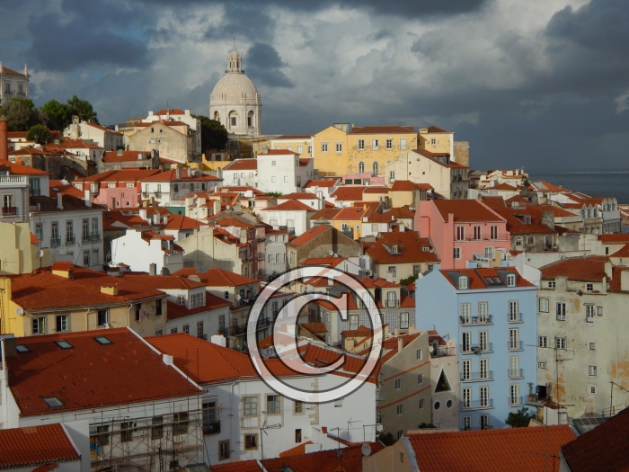 DSCN2775-Copier-