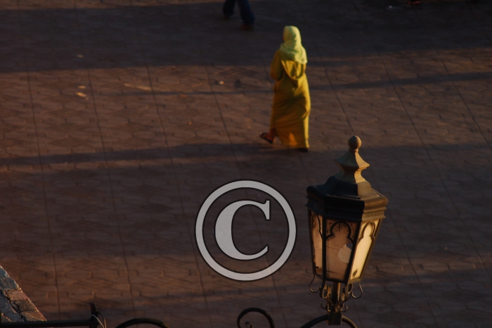 DSC_0116-Copier-