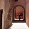 _MG_0526-Copier-
