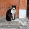DSCN3894-Copier-