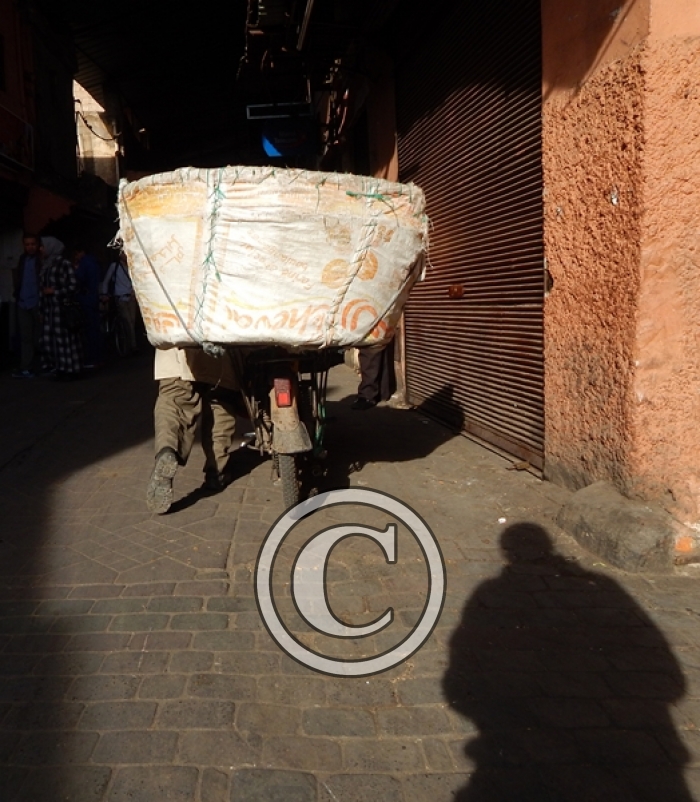 DSCN3925-Copier-