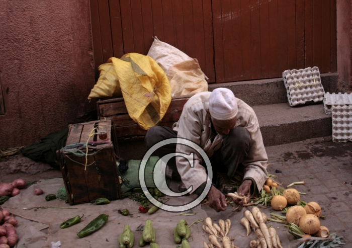 _MG_2894cadre-Copier-