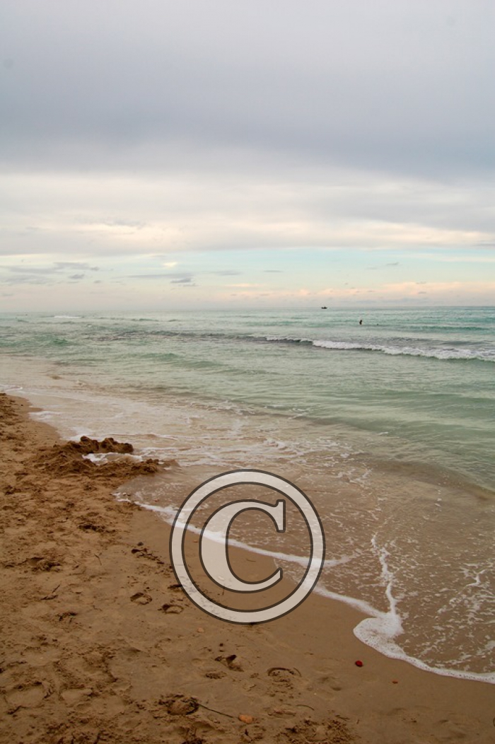 DSC_0032 light (3)