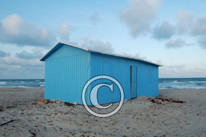 DSC_0058 light