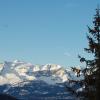 DSC_0025-Copier-