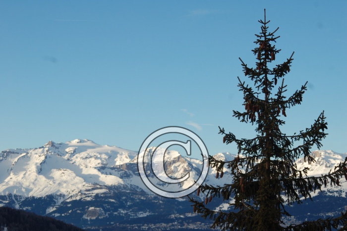 DSC_0025-Copier-