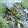 P1020075-Copier-