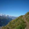 sentierchamois1-Copier-