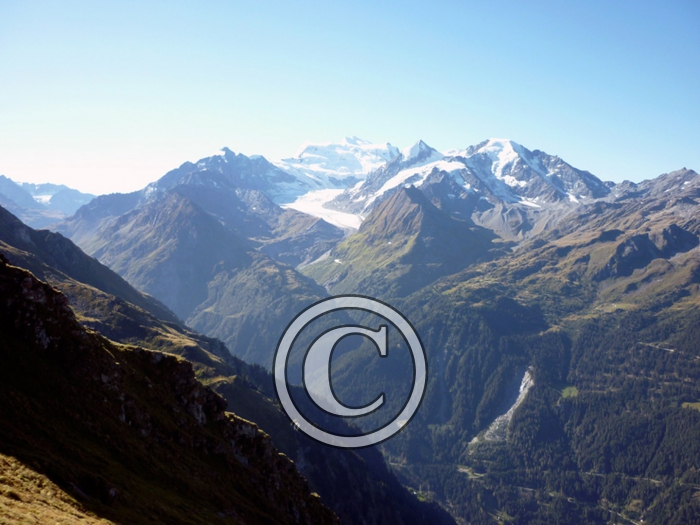 sentierchamois5-Copier-