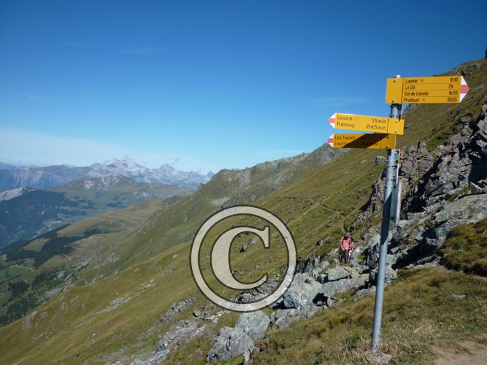 sentierchamois7-Copier-