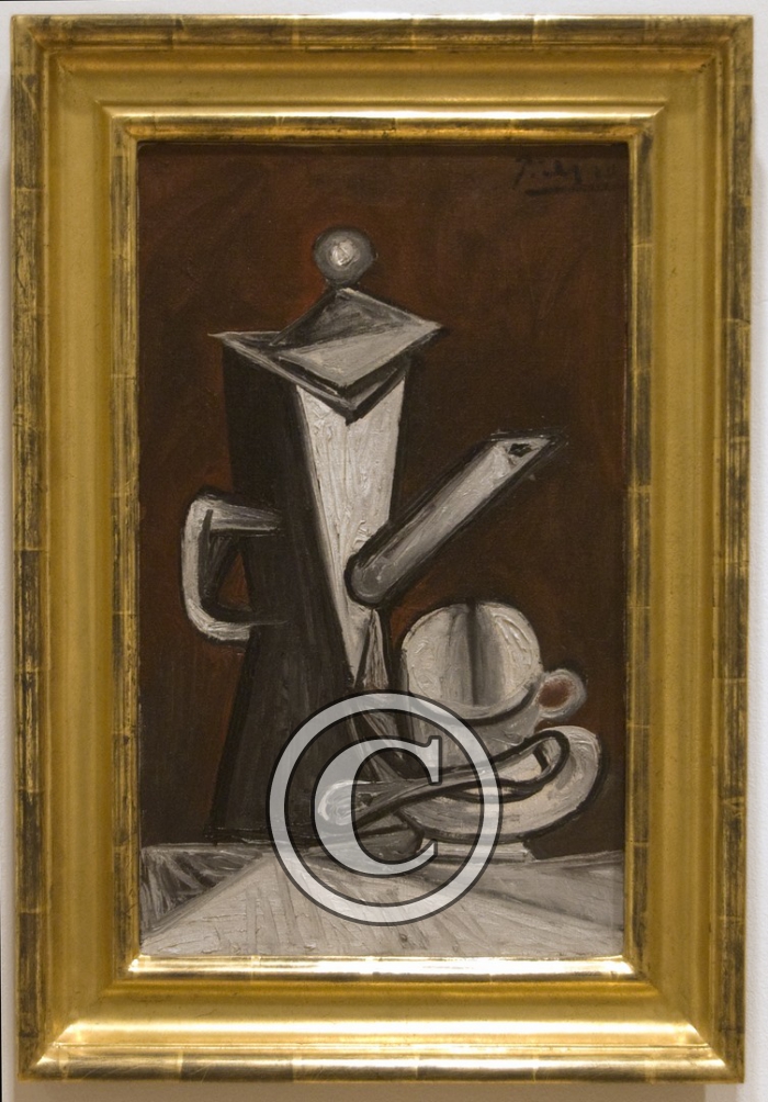 DSC_0198Picasso-Copier-