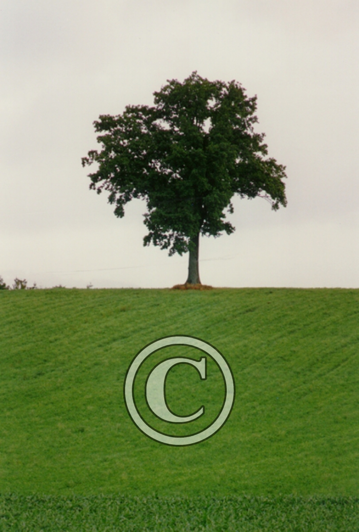 ARBRE-Copier-