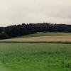 CHAMP10-Copier-