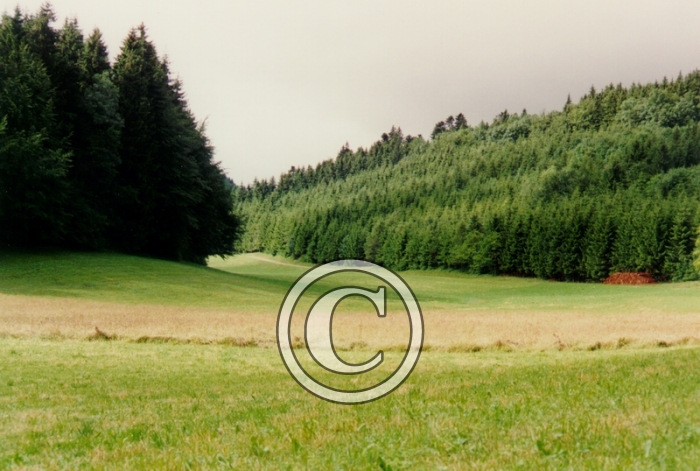 CHAMP3-Copier-