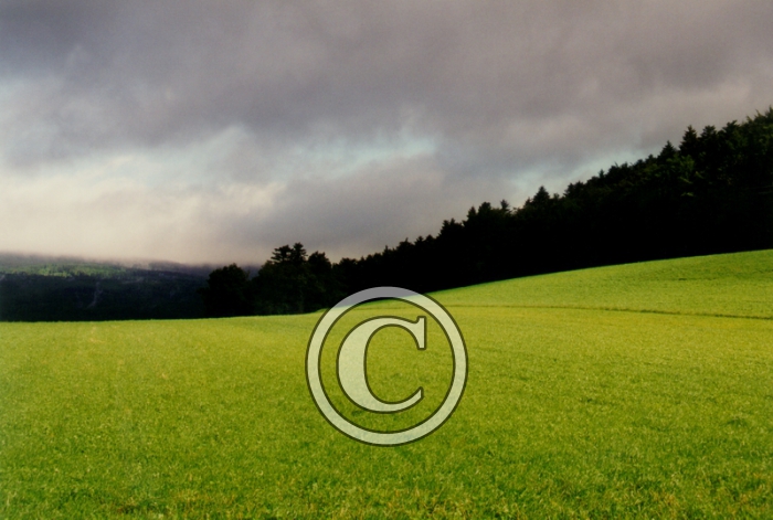 CHAMP4-Copier-