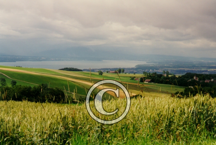 CHAMP5-Copier-