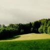 CHAMP7-Copier-