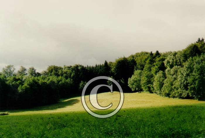 CHAMP7-Copier-