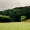 CHAMP8-Copier-