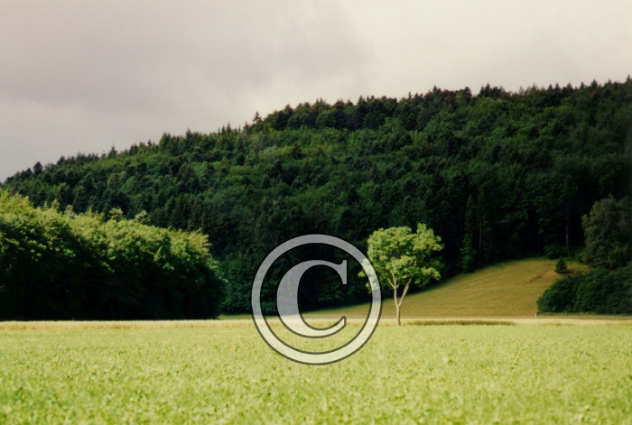 CHAMP8-Copier-