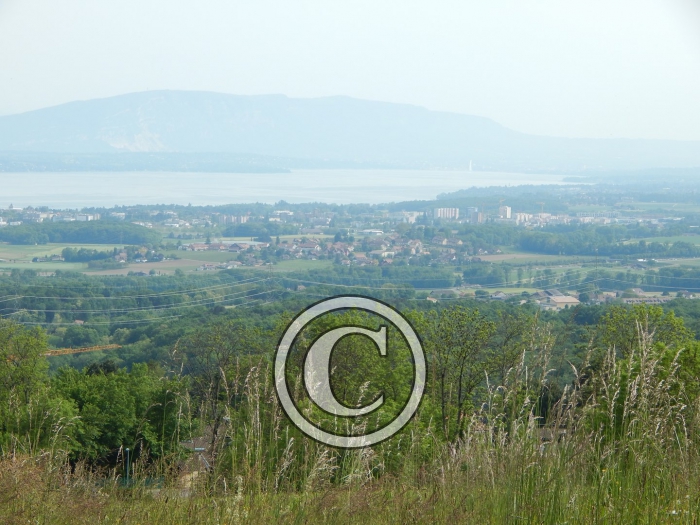 DSCN0194-Copier-