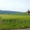 DSCN0199-Copier-