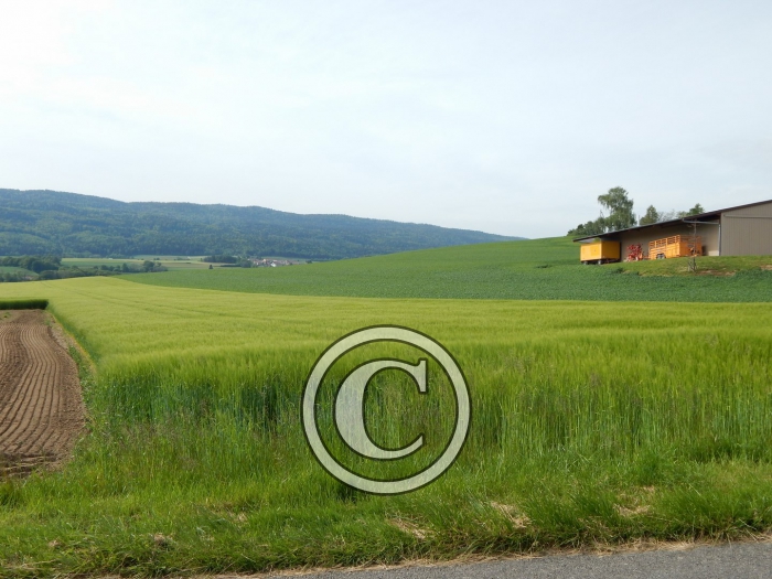 DSCN0199-Copier-