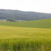DSCN0200-Copier-
