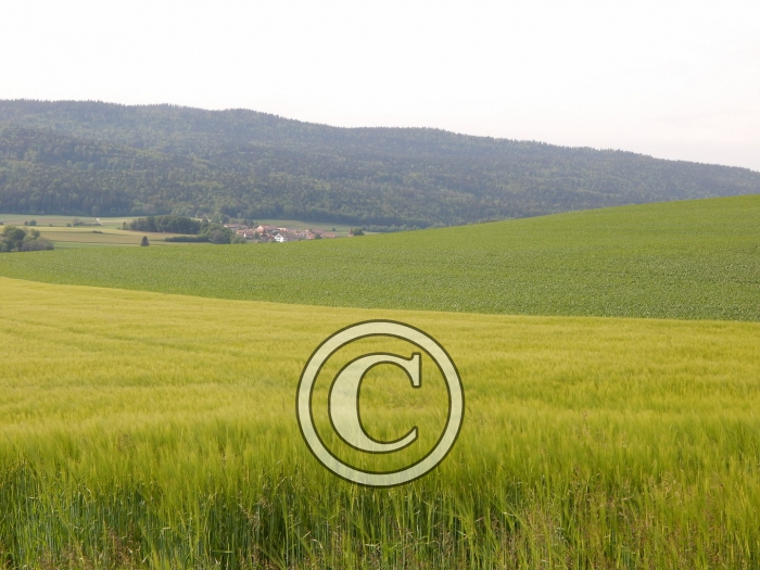 DSCN0200-Copier-